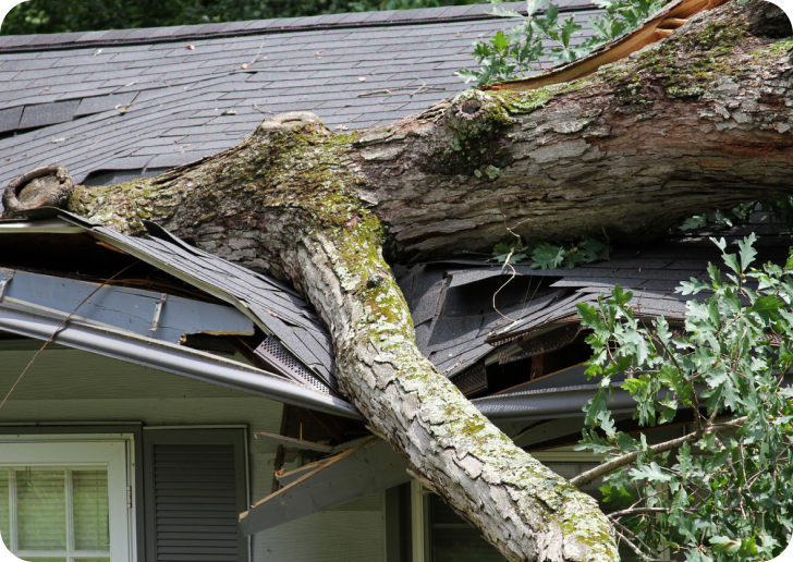 storm-damage5.jpg