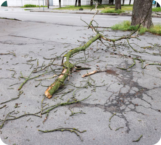 storm-damage8.jpg